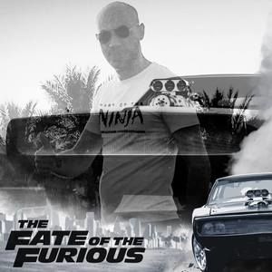 Meet your Posher, Mohamed